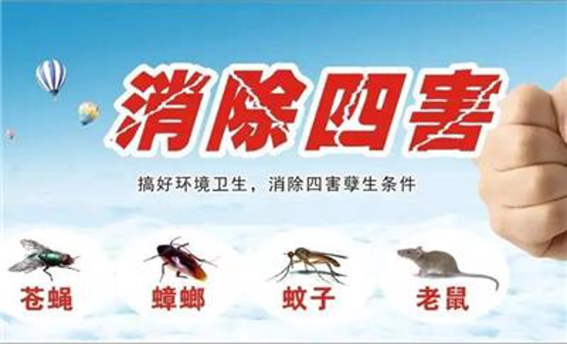 家庭消蟑攻略:智慧生活需与这些小生物争一争
