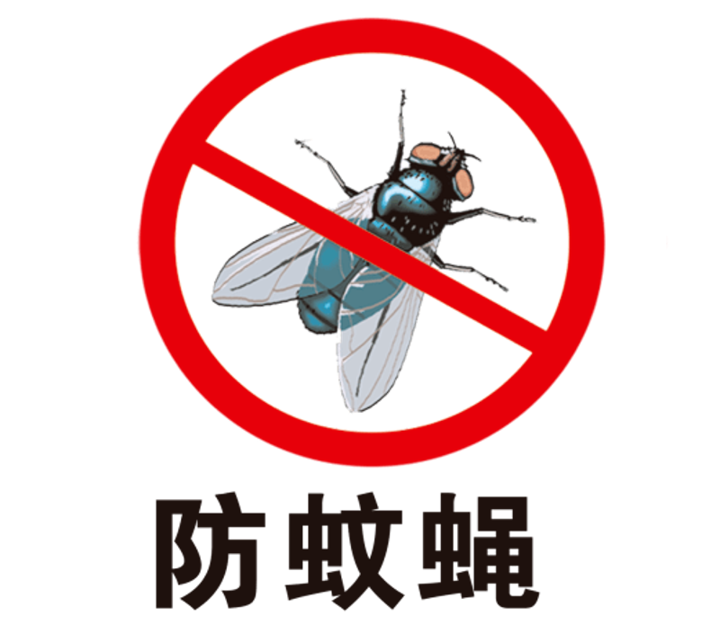 夏季如何有效灭蚊蝇?科学方法帮你解决烦恼