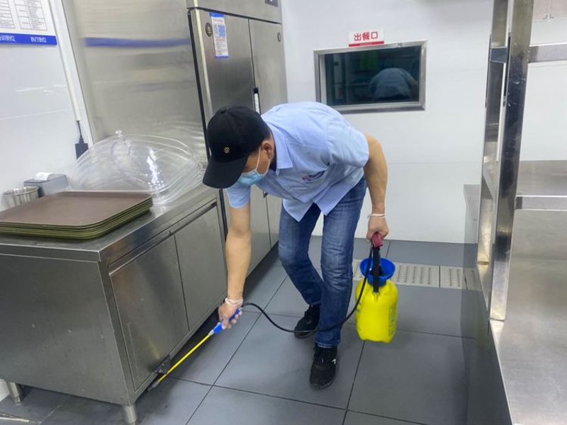 夏季灭蚊蝇大作战:让生活更无‘嗡’烦恼